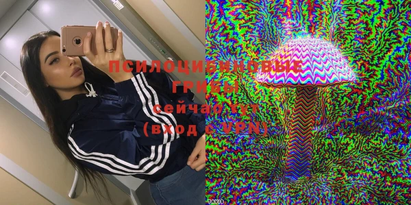 дмт Верея