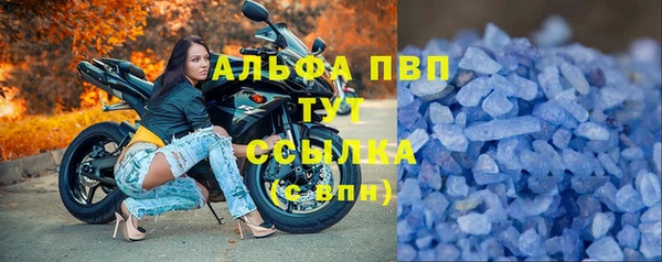 дмт Верея