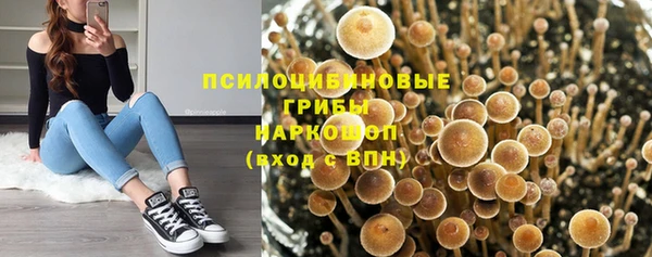 дмт Верея