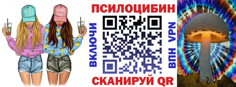 купить наркоту  darknet клад  Псилоцибиновые грибы Cubensis  Барнаул 